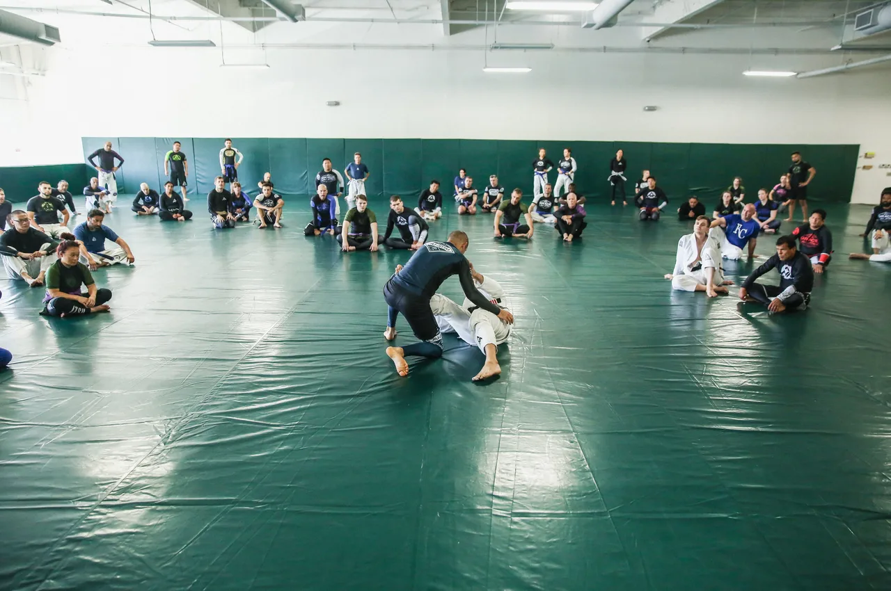 Séminaire Master Cycle dans un Centre de Formation Certifié Gracie